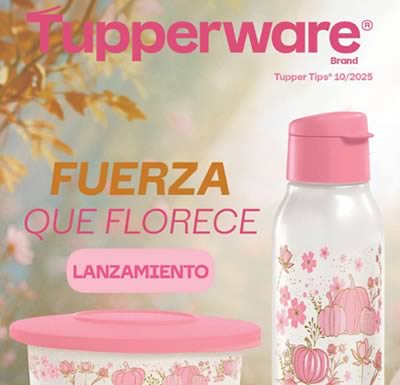 Catálogo Tupperware TUPPER TIPS 10 2025