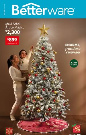 Catálogo BETTERWARE Noviembre 2025