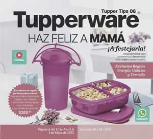 Catálogo Tupperware Tupper Tips 6 de 2022 | México y USA