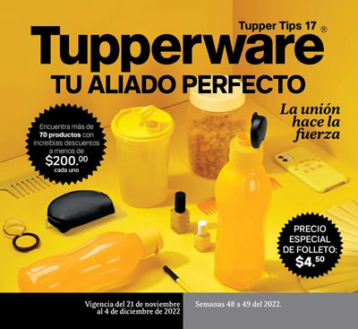Catálogo Tupperware Tupper Tips 17 de 2022
