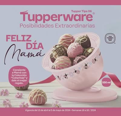 Catálogo Tupperware TUPPER TIPS 6 de 2024 México + PDF