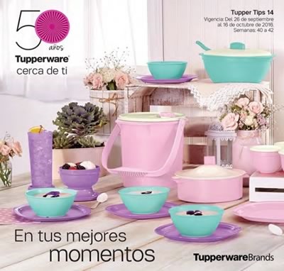 catalogo tupperware tupper tips 14 de 2016