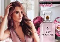 Catálogo Stanhome Campaña 7 2026 México