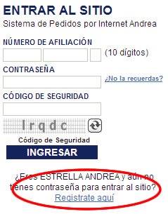 sistema de pedidos andrea online registro